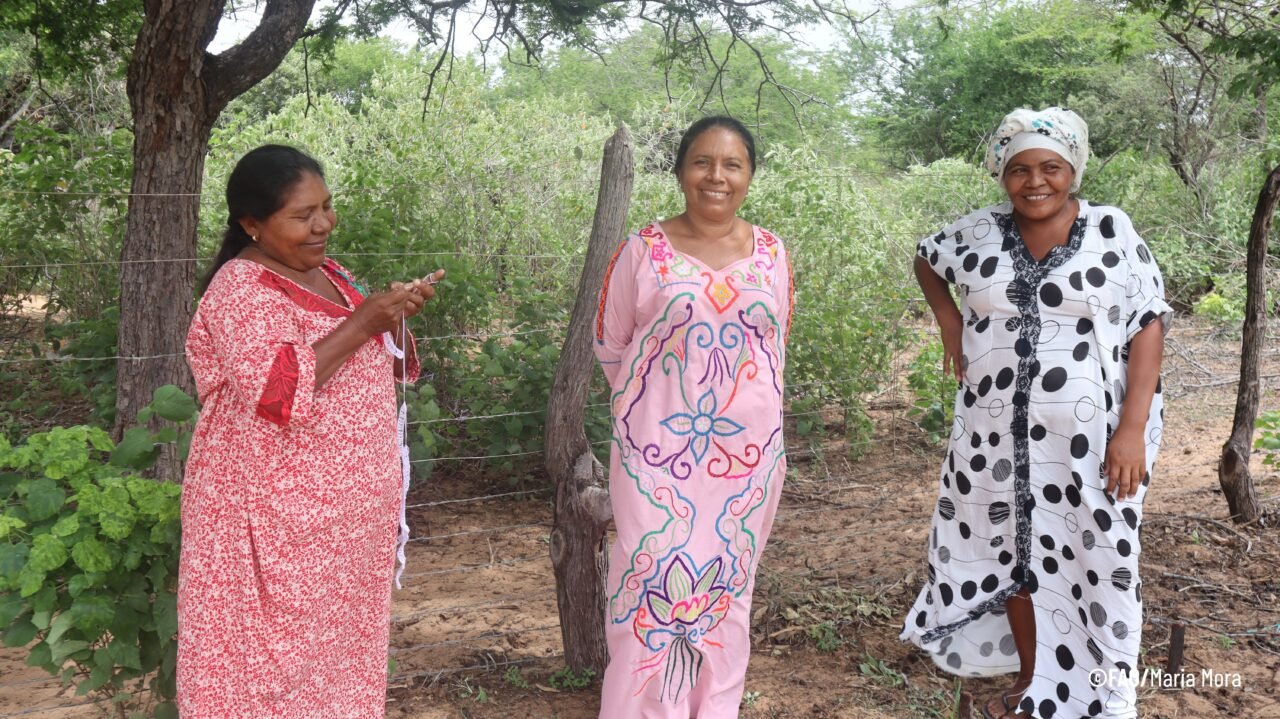 Día de las mujeres indígenas: las Wayúu, cuando la resiliencia florece en el desierto