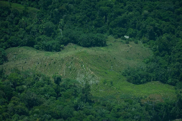120 ambientalistas fueron asesinados o desaparecieron en Latinoamérica el año pasado, según informe