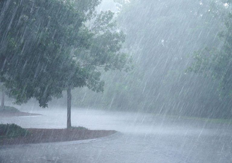 Abundantes lluvias ponen en riesgo 300 mil hectáreas de 5 zonas agrícolas del país