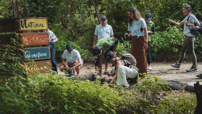 Alianza Kia y GreenSouls recomponen ecosistemas marinos en San Andrés Islas