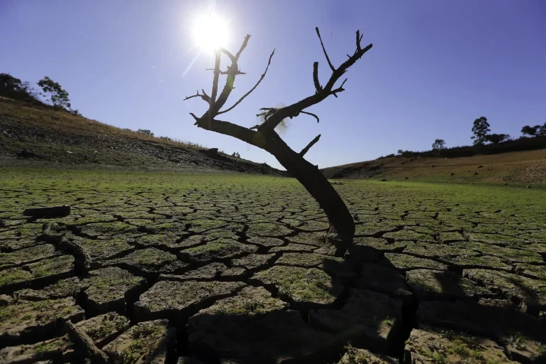 Ambientalistas demandan al gobierno de Trump por derogar la normativa sobre el clima