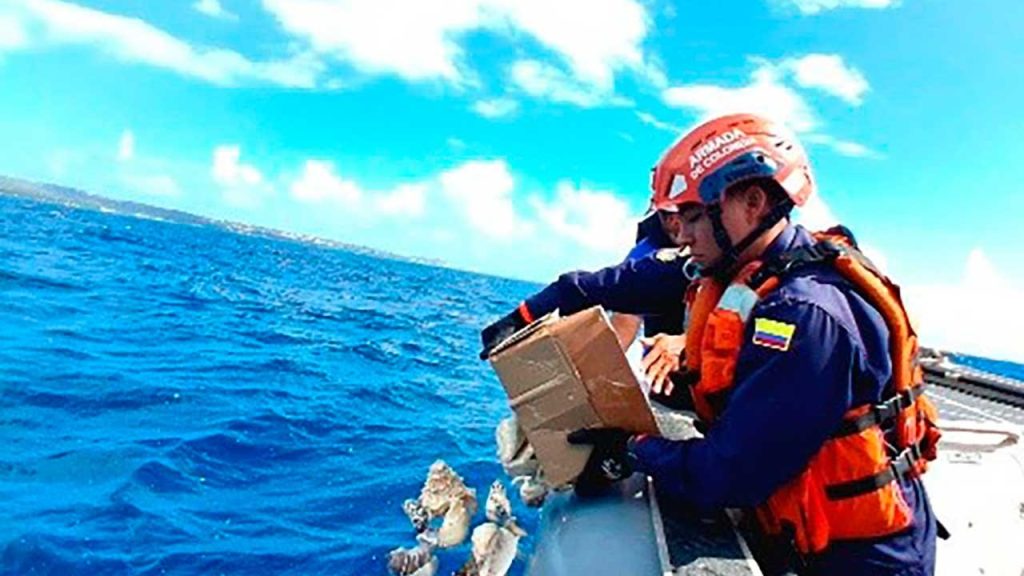 Armada devuelve más de 800 kilos de especies marinas a ecosistemas de San Andrés