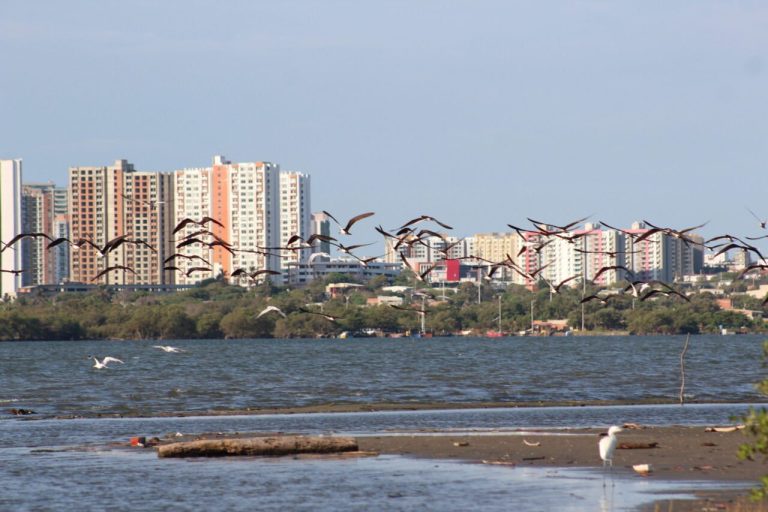 Barranquilla se suma al Global Big Day 2026