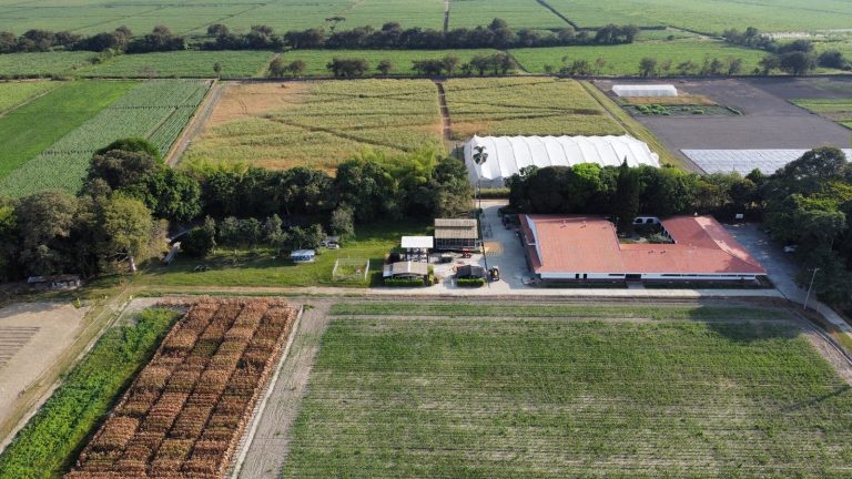 Bayer impulsa Agricultura Regenerativa en el país a través del iHUB La Tupia