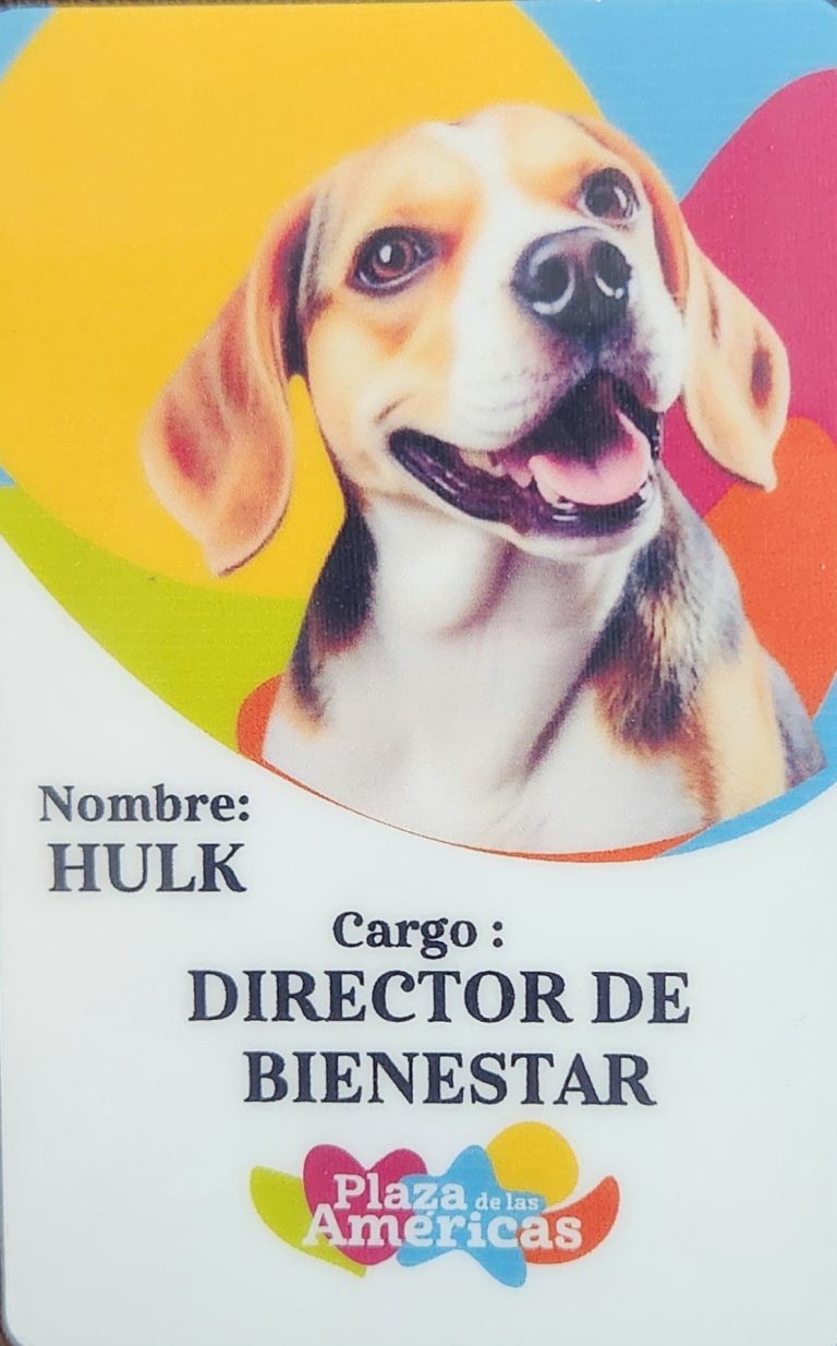 Bogotá: Plaza de las América presenta equipo canino que brinda apoyo emocional
