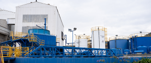 Brinsa invierte $120 mil millones y duplica su capacidad de producción