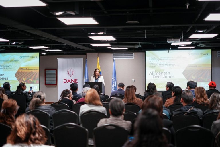 Cae la inseguridad alimentaria en la zona urbana, pero persiste en zonas rurales y en los hogares vulnerables
