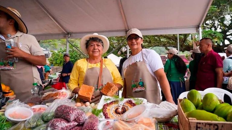 Café de mujeres de Planadas conquista mercados internacionales con sello de paz y desarrollo rural