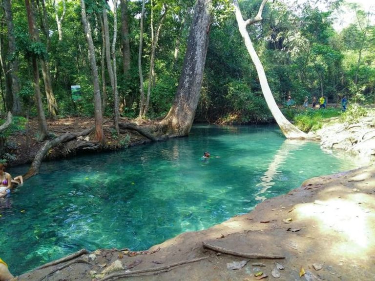 Cañaverales se defiende: comunidad en el sur de La Guajira denuncia amenazas por un nuevo proyecto minero de carbón