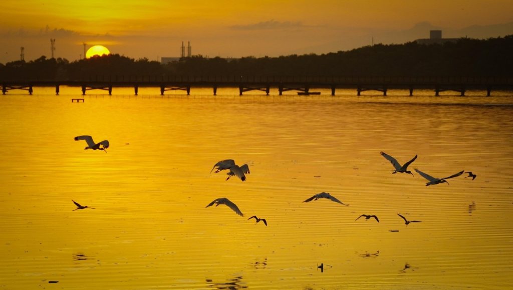 Certificación de la ONU a Barranquilla por recuperar y conservar ecosistemas