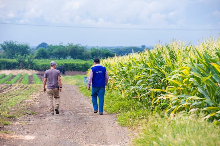 Colombia consolida superávit comercial agropecuario de USD 2.489 millones