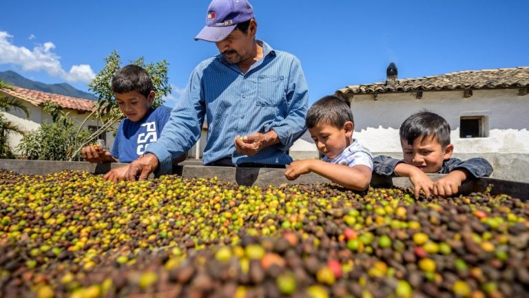 Con $150 mil dólares premiarán proyectos que impulsen la investigación en seguridad alimentaria y nutrición
