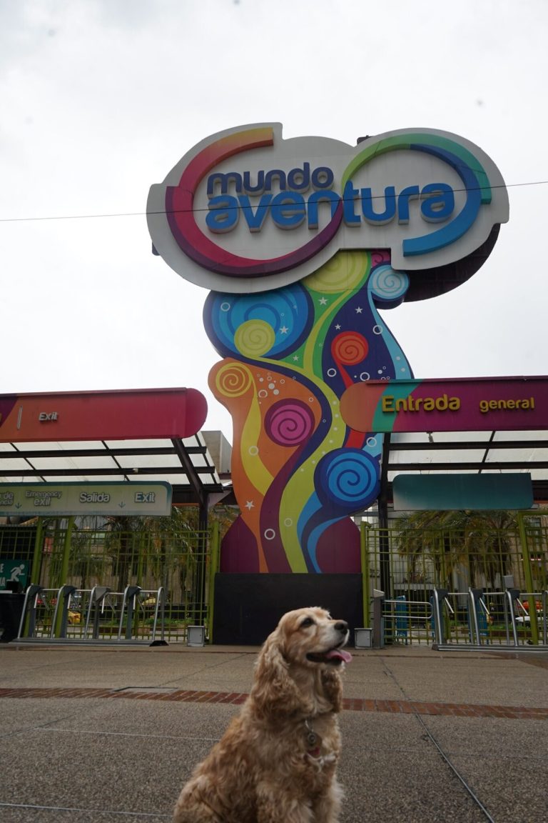 Con más de 4.000 m² dedicados a los peluditos, Mundo Aventura lanza el festival ‘Mascotas al Parque’