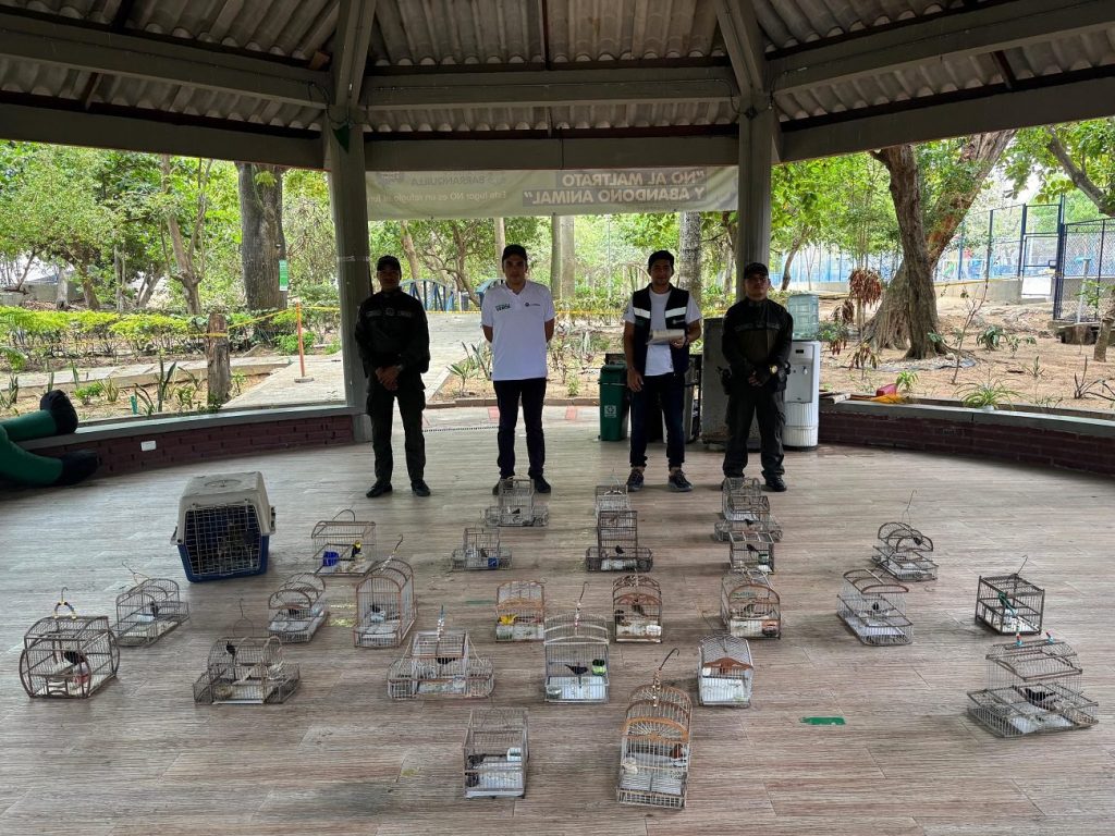 Controles en Barranquilla al tráfico ilegal de fauna y flora durante Semana Santa