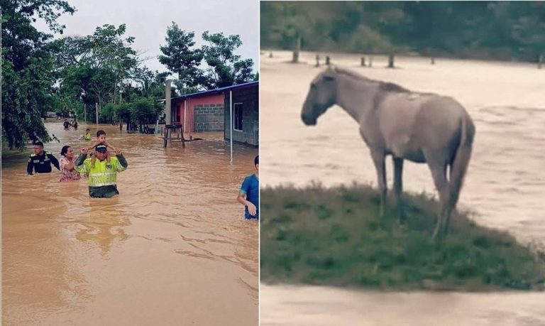 Córdoba bajo el agua: emergencia en municipios por desbordamiento de ríos