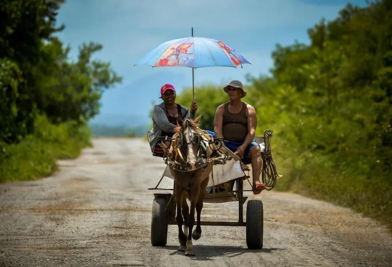 Cuba: epidemias, apagones prolongados, escasez de alimentos, crisis económica. Pronósticos no son buenos