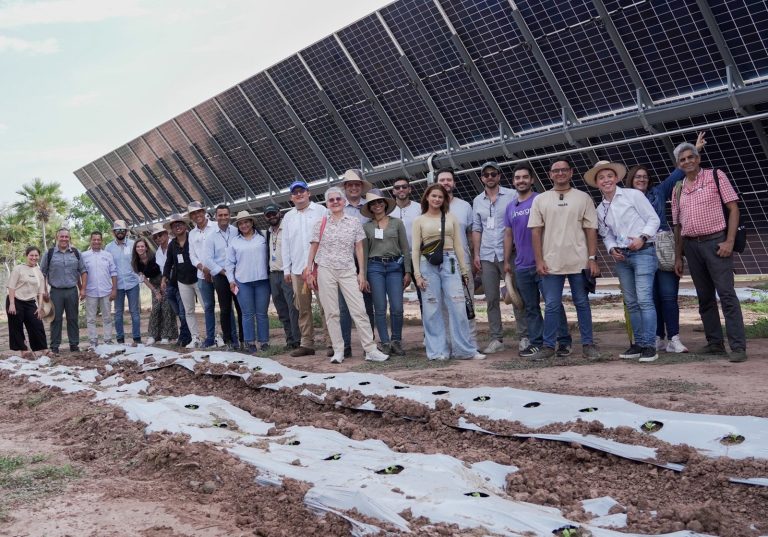 Desarrollo de las startups impulsa la transición energética