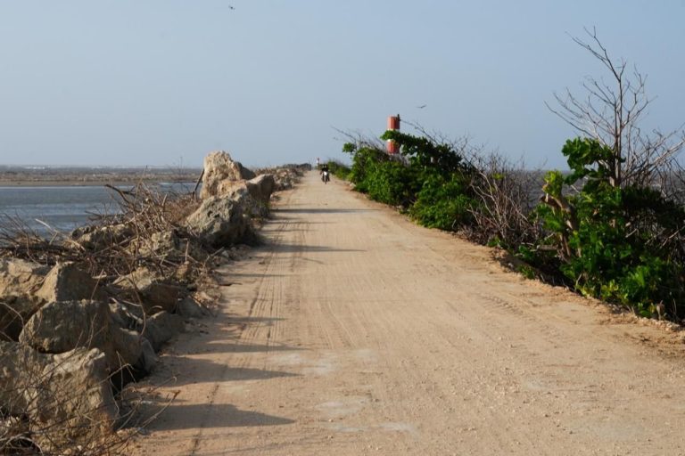 Después del Malecón y Mallorquín, Barranquilla quiere seguir ganando en turismo con Tajamar y Bocas de Ceniza