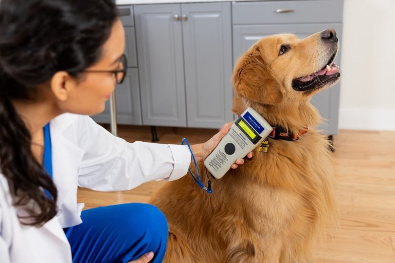 Día del Veterinario: profesionales que cuidan el bienestar animal