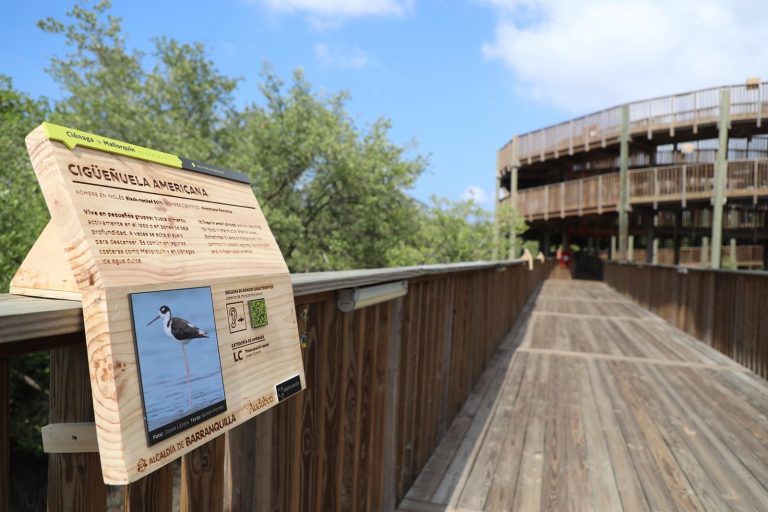 Ecoparque Ciénaga de Mallorquín presenta su primera galería educativa de aves