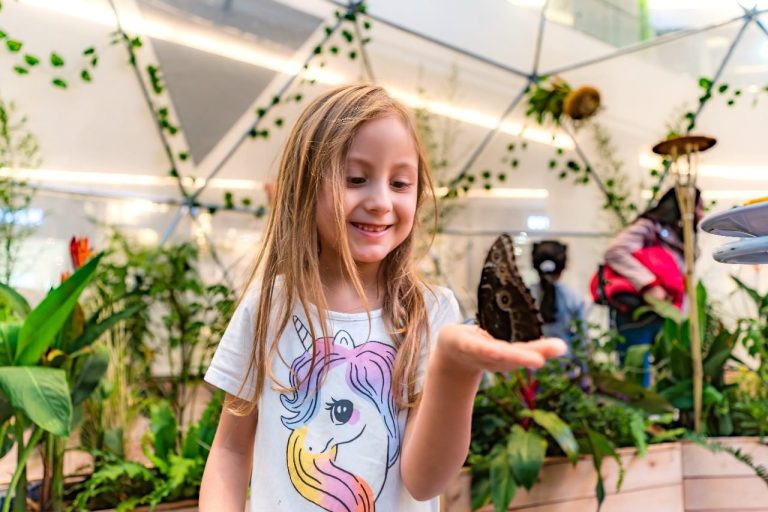 El “Magiposario”: encuentro mágico con mariposas vivas en alianza con el Museo de Historia Natural de Nueva York