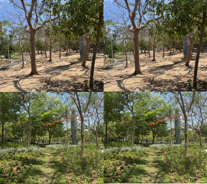 El parque Espejo renace como pulmón verde de Barranquilla