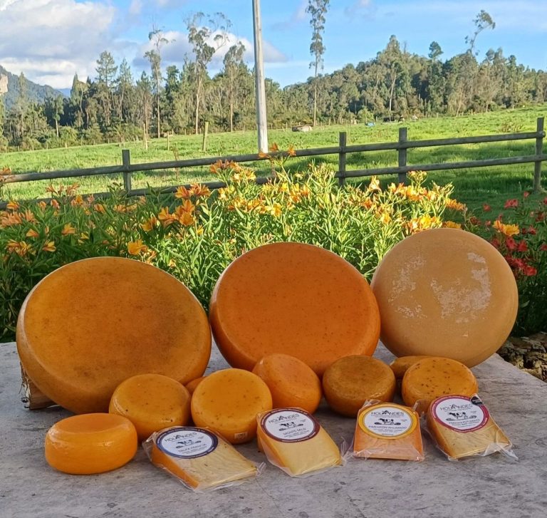 El queso colombiano HolaAndes fue calificado como el mejor en Suiza 