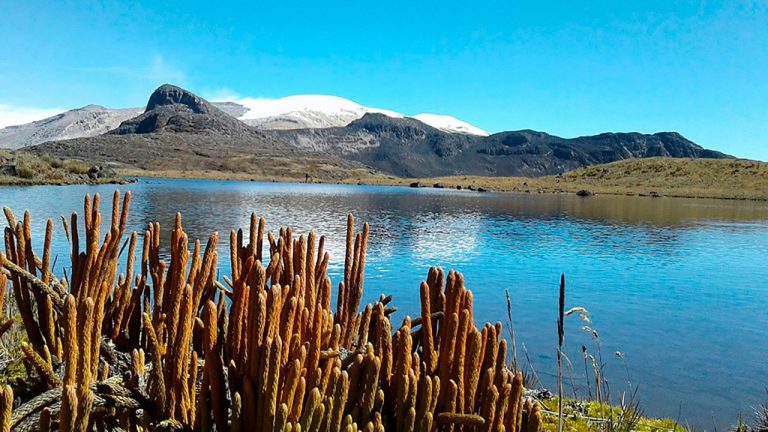 En 3 años y medio Colombia recibió 22 millones de turistas