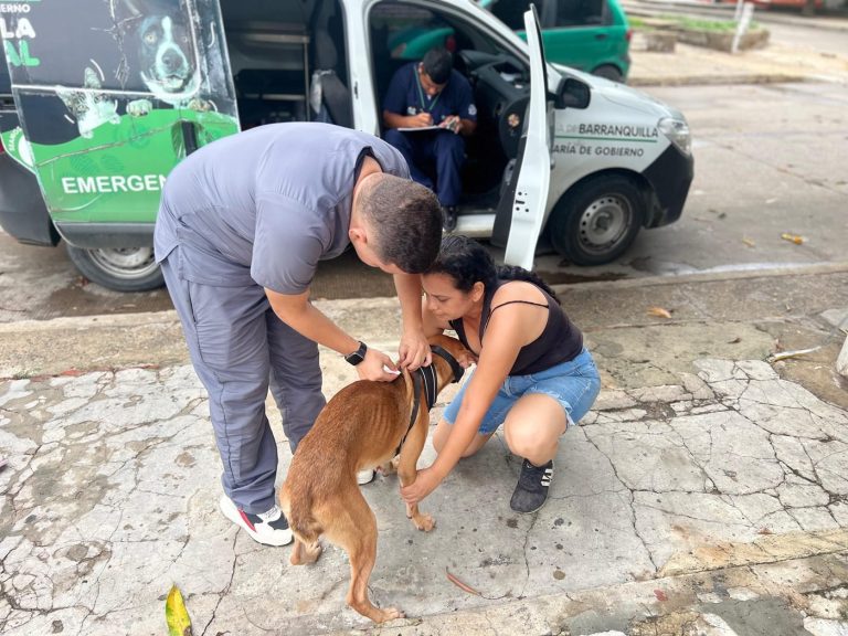 “¡En Barranquilla los animalitos no están solos!”