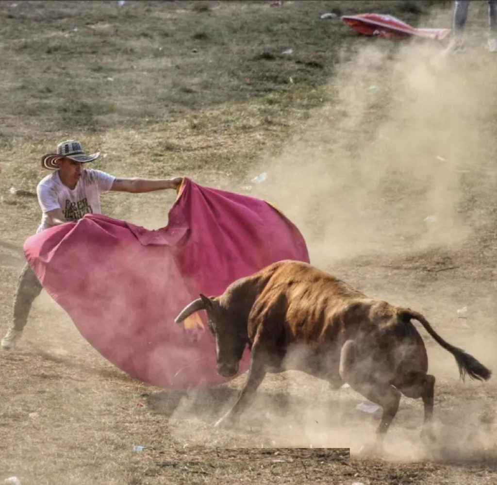 Faber Carlos Herazo González: “El torero sordomudo, ídolo de las corralejas de Colombia”