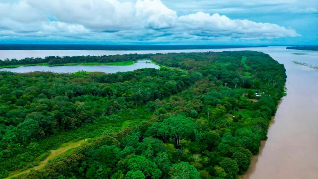 Festival Ecofest en Bogotá rendirá homenaje al Amazonas