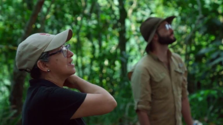 Ficci: RTVC presentará documental ‘Chiribiquete: Un viaje a la memoria ancestral de América’ 
