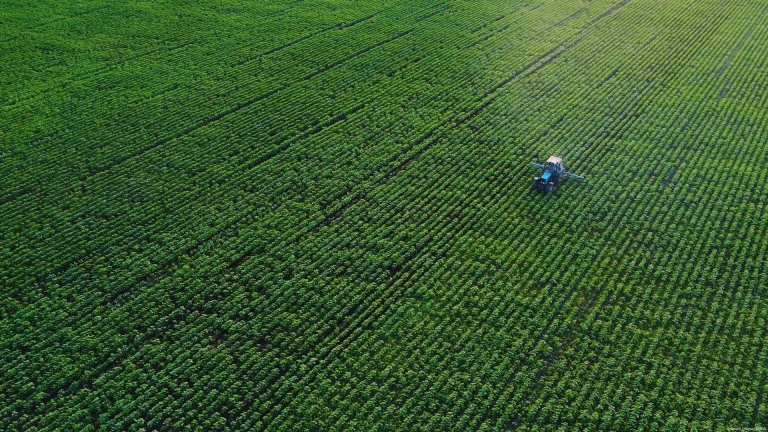 Guyana, el único país del mundo que produce los alimentos que necesita