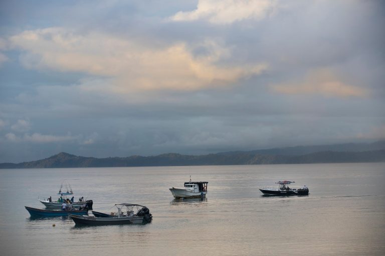 Habrá freno contra la pesca ilegal