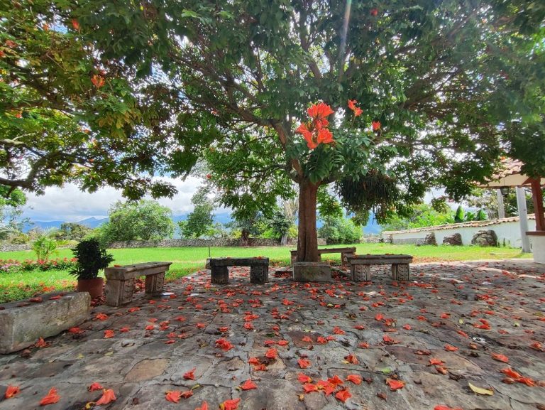 Hacienda El Novillero fortalece el turismo experiencial en Fusagasugá