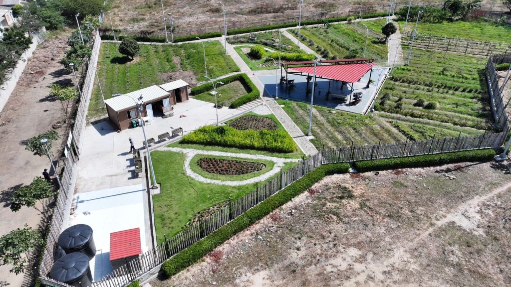 Huertas comunitarias, proyecto que se multiplica en Barranquilla