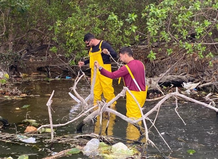 Humedales de Playa Dormida están urgidos de protección