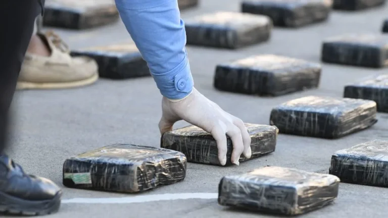 Incautan en Cartagena 5 toneladas de coca destinadas a Europa y A. Central