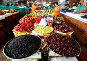 Inflación anual sigue bajando, cerró en julio de 2025 en 4,9%