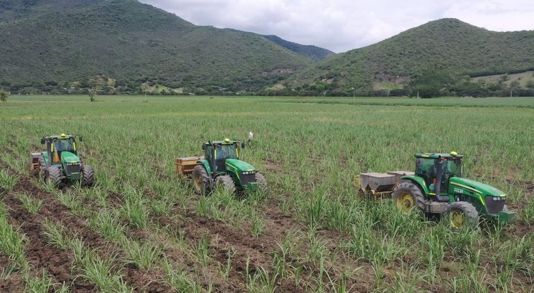 Innovación en el campo: estas son algunas de las tecnologías que lideran el futuro del agro colombiano