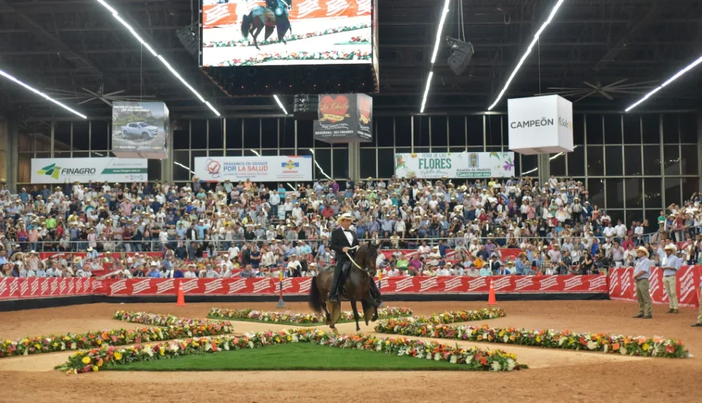 La mayor competencia del Caballo Criollo Nacional impulsa desde Antioquia una industria de $6 billones