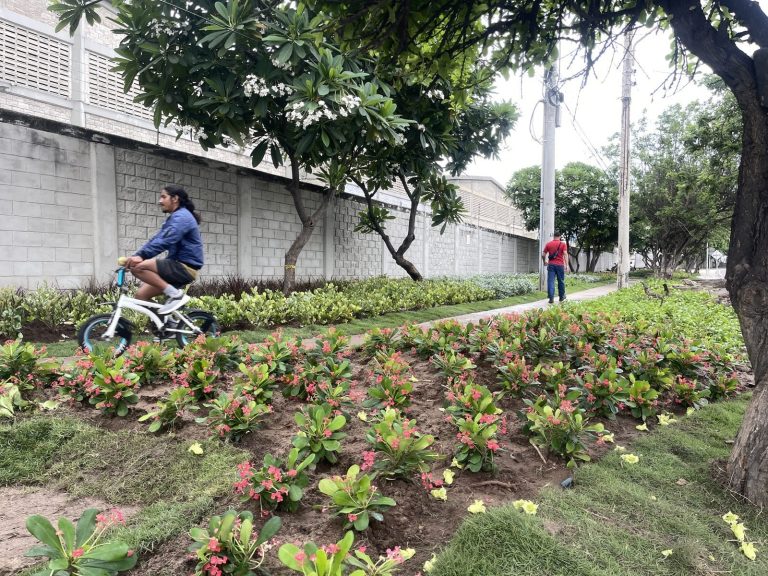 Las Flores recupera su espacio y su color con ‘Barranquilla Limpia y Linda’