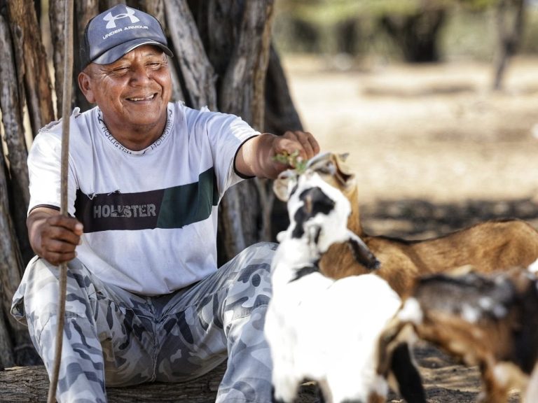 Levantan emergencia sanitaria por brote de carbunco bacteridiano en La Guajira