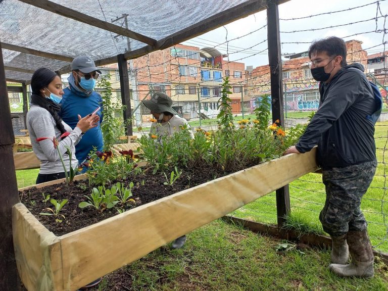 Los agronegocios se abren paso como una estrategia eficiente contra el hambre