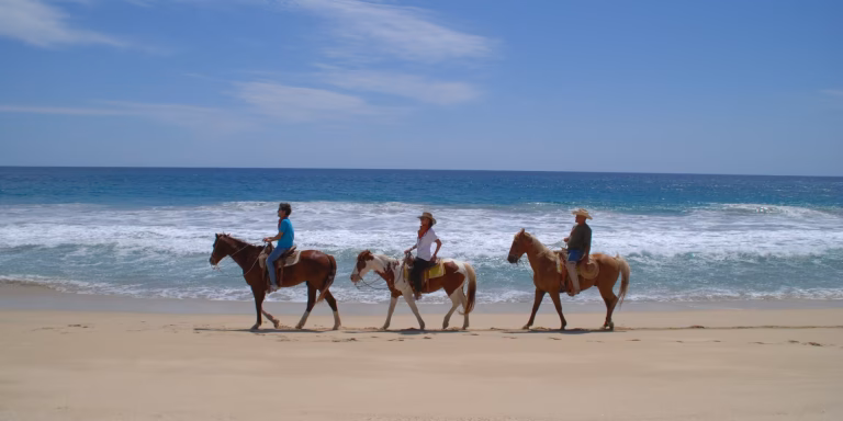 Los Cabos: un destino imperdible este 2026