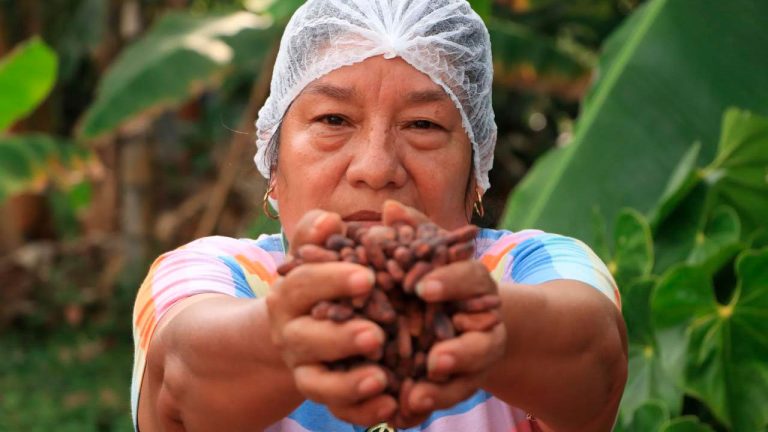 Medidas para proteger a los cacaocultores frente a la coyuntura internacional de precios