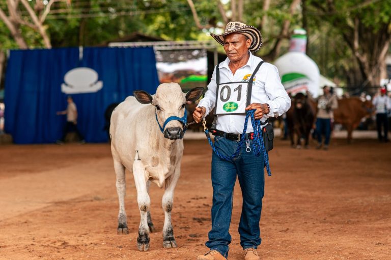 Montería hizo historia con la primera feria de ganadería en Colombia conectada a Starlink
