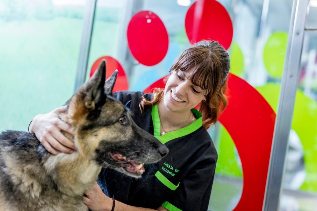 MSD Salud Animal dona 7 millones de vacunas al programa para eliminación de la rabia