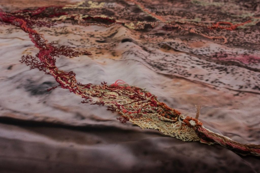 Naturaleza, transformación y umbrales de lo vivo en el primer ciclo expositivo 2026 del MAMBO