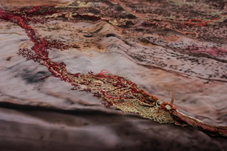 Naturaleza, transformación y umbrales de lo vivo en el primer ciclo expositivo 2026 del MAMBO